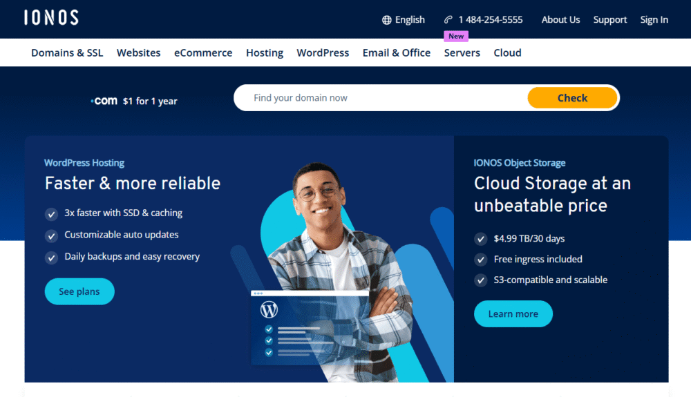 ionos wordpress hosting